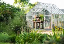 Some of the Best Garden Rooms You Need To Know About On FocusEverything