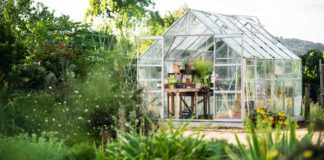 Some of the Best Garden Rooms You Need To Know About On FocusEverything