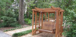 How-To-Enjoy-The-Pleasures-Of-Swinging-Amidst-Nature's-Beauty-On-FocusEverything